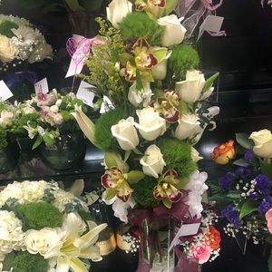 Meet your Posher, Rose